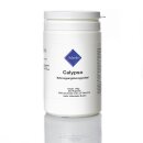 Calypso 240